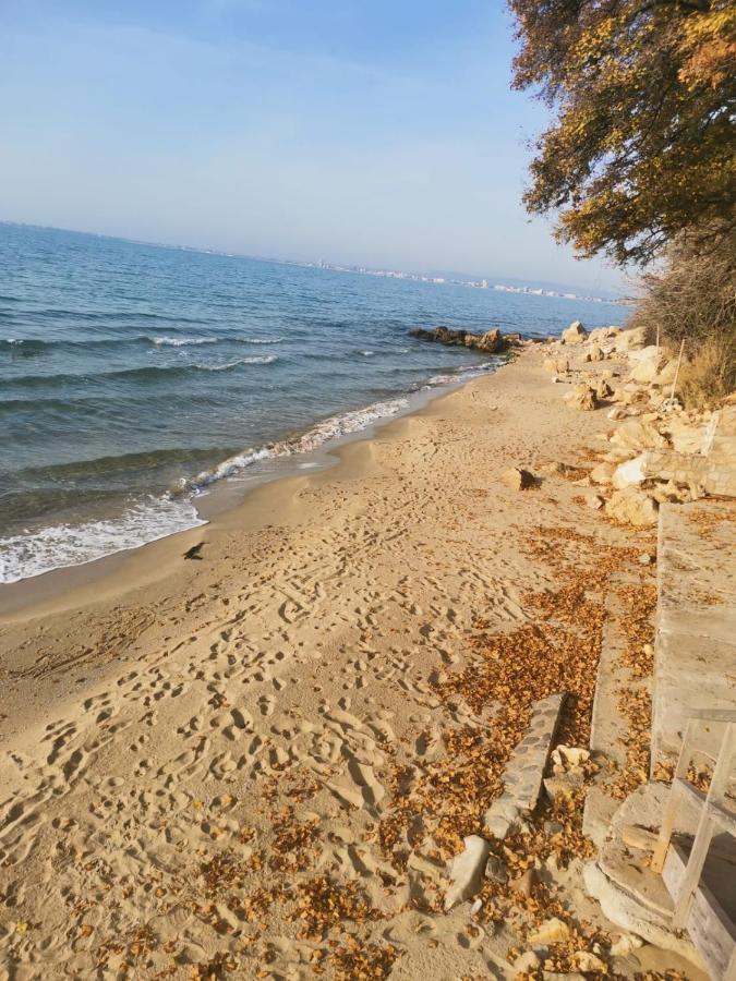 Alex Beach Apartment Sveti Vlas Dış mekan fotoğraf