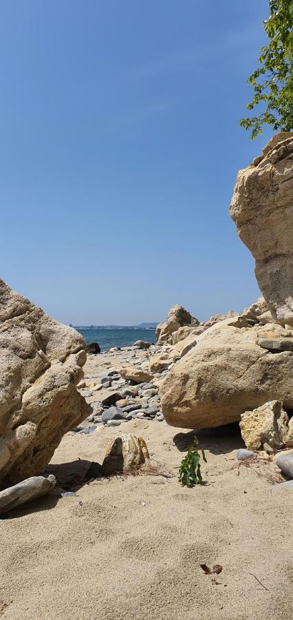 Alex Beach Apartment Sveti Vlas Dış mekan fotoğraf