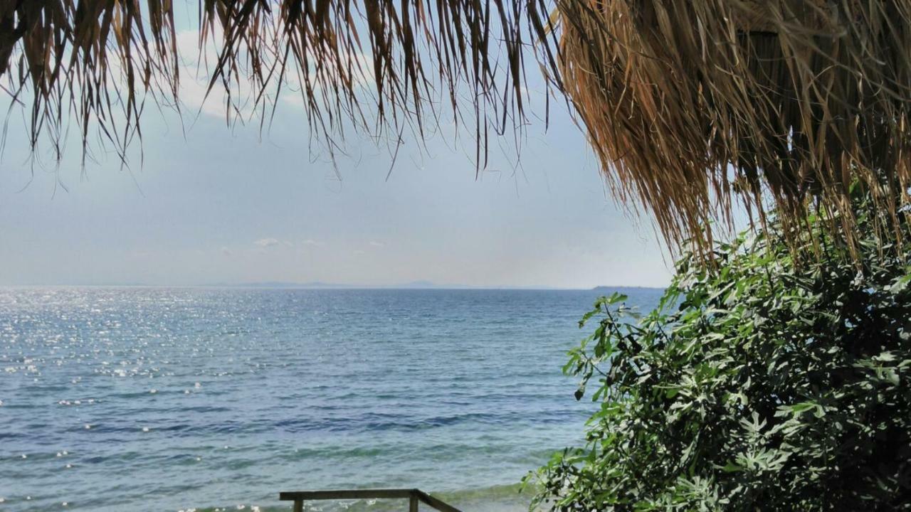 Alex Beach Apartment Sveti Vlas Dış mekan fotoğraf