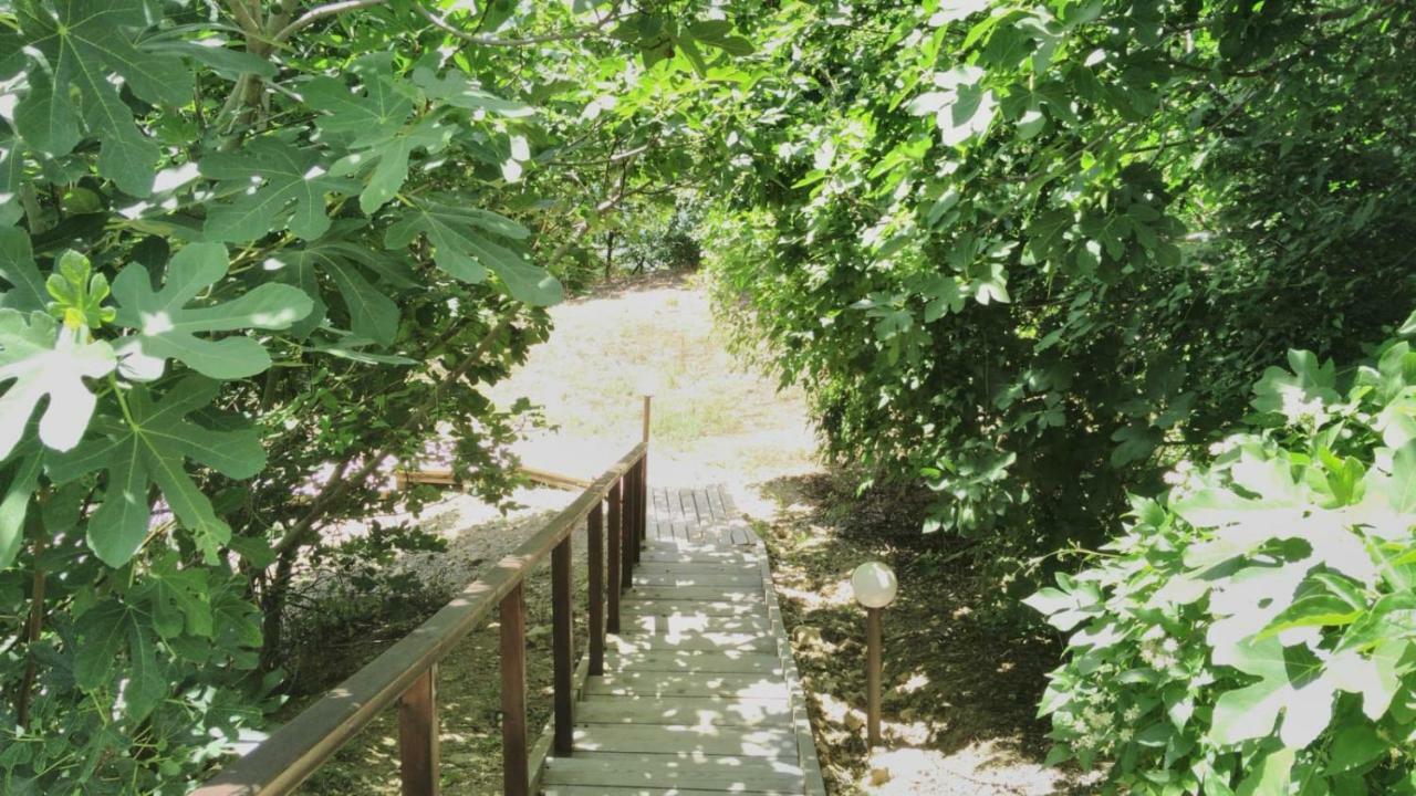 Alex Beach Apartment Sveti Vlas Dış mekan fotoğraf